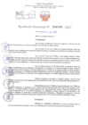 Vista preliminar de documento Resolución Directoral. Nº 0596 - 2023 