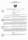 Vista preliminar de documento RD 0289-2023.pdf