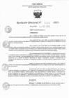 Vista preliminar de documento RD 0296-2023.pdf