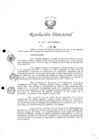 Vista preliminar de documento RD N° 133-2019-PCM-OGA