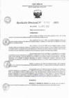 Vista preliminar de documento RD 0302-2023.pdf