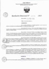 Vista preliminar de documento RD 0308-2023.pdf