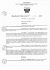Vista preliminar de documento RD 0309-2023.pdf