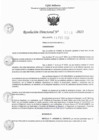 Vista preliminar de documento RD 0310-2023.pdf