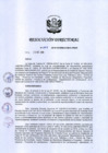 Vista preliminar de documento RD-207-2019