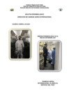 Vista preliminar de documento 05 BOLETíN EPIDEMIOLOGICO SE 39 2021.pdf