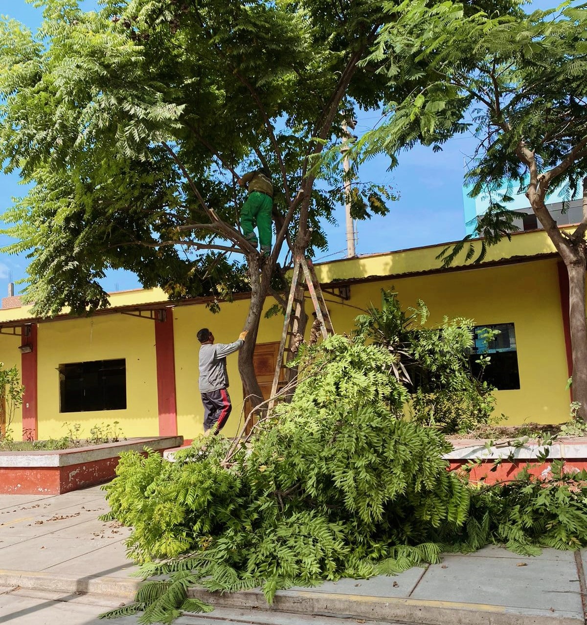 Limpieza de parques y jardines en distintos puntos de la ciudad de Huaral desarrollado por la municipalidad provincial
