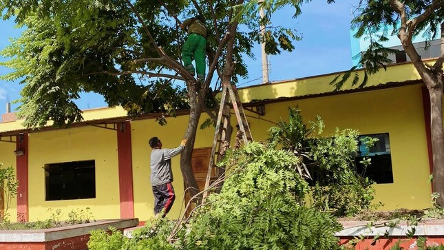 Limpieza de parques y jardines en distintos puntos de la ciudad de Huaral desarrollado por la municipalidad provincial