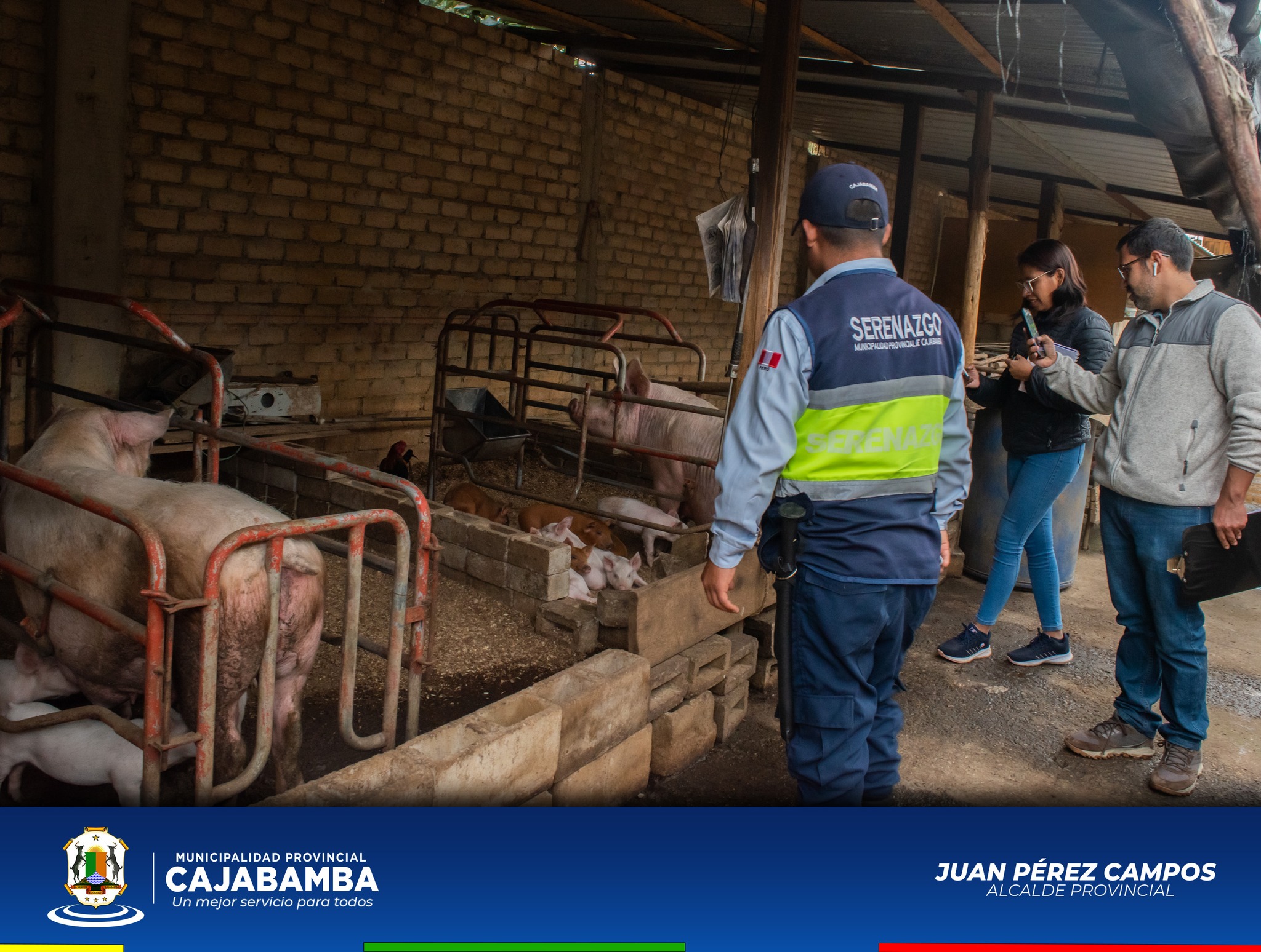 Fiscalización de Local Utilizado para la Crianza de Cerdos
