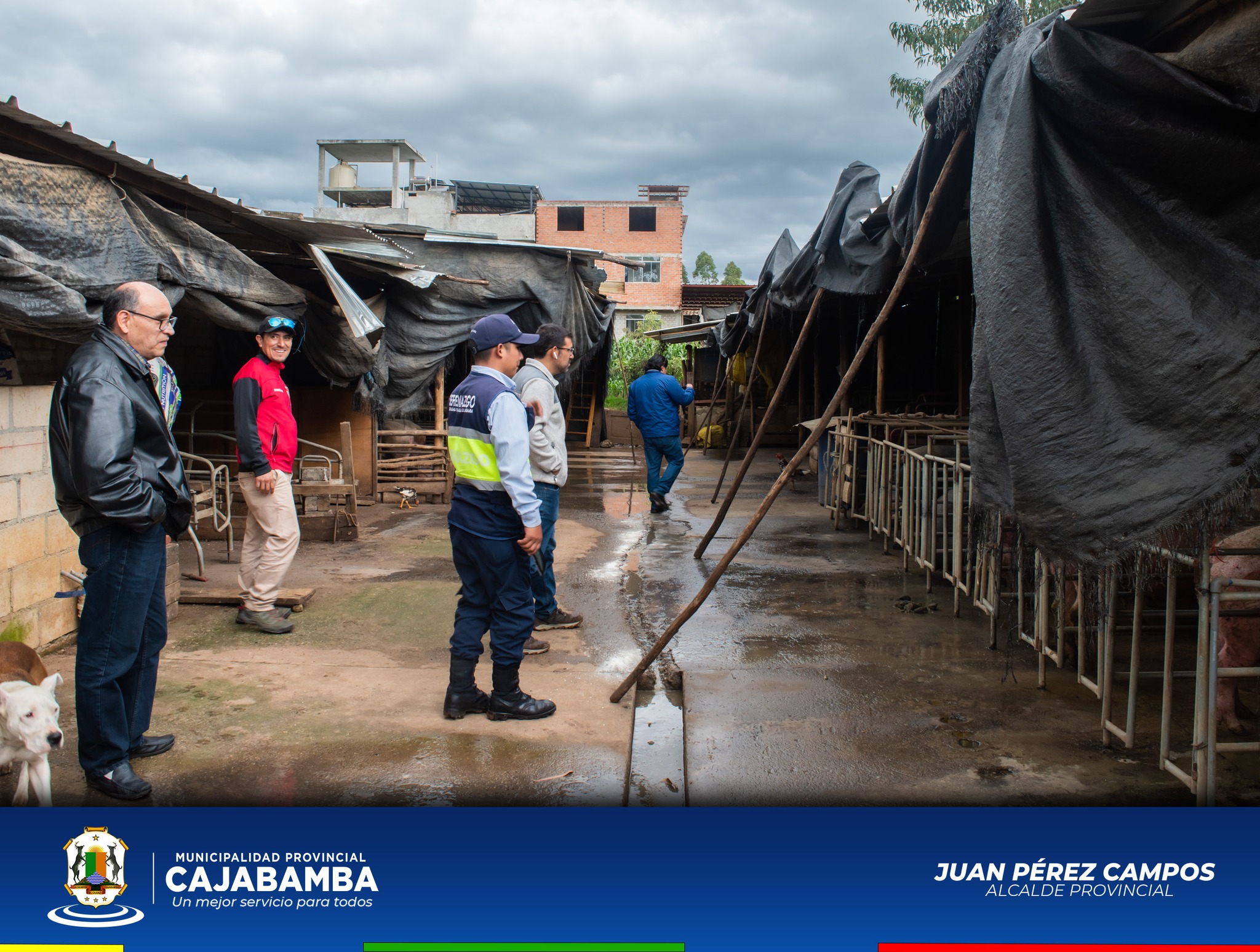 Fiscalización de Local Utilizado para la Crianza de Cerdos