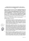 Vista preliminar de documento ANEXO 0370-2023-IN
