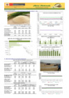 Vista preliminar de documento sisap-arroz-15nov19