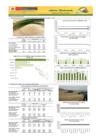 Vista preliminar de documento sisap-arroz-18nov19