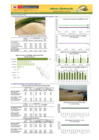 Vista preliminar de documento sisap-arroz-19nov19
