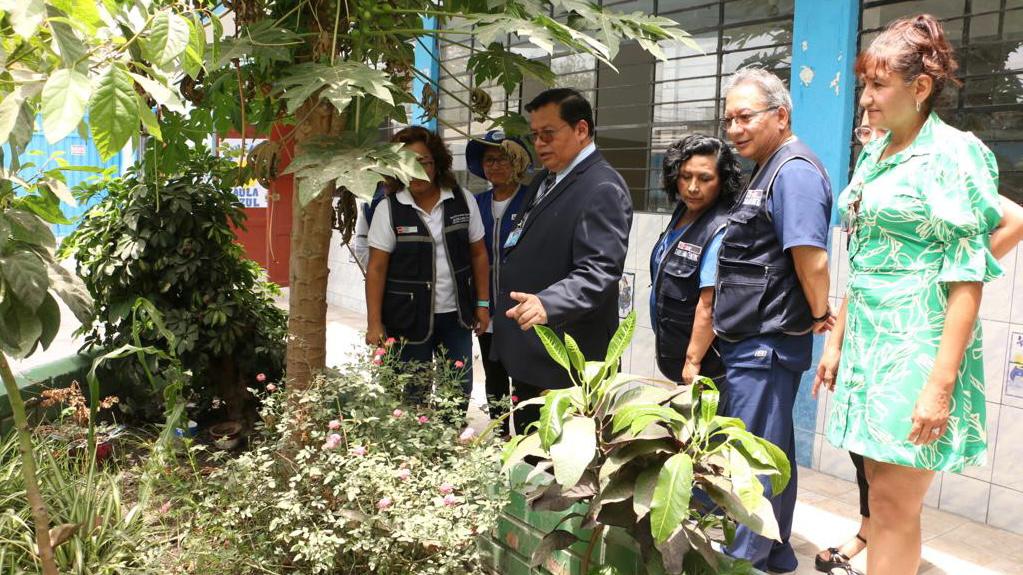 Minsa prepara colegios saludables libres de criaderos de zancudos transmisores del dengue en SJL
