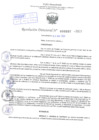 Vista preliminar de documento Resolución Directoral. Nº 0697 