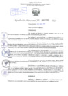 Vista preliminar de documento Resolución Directoral. Nº 0703 