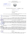 Vista preliminar de documento Resolución Directoral. Nº 0705