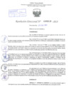 Vista preliminar de documento Resolución Directoral. Nº 0810 - 2023 