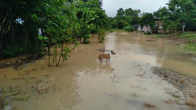 WhatsApp Image 2023-03-12 at 4.04.35 PM.jpeg