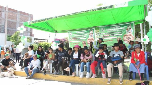 ¡Mas de 200 canes fueron registrado y desparasitados en campaña gratuita!