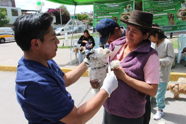 ¡Mas de 200 canes fueron registrado y desparasitados en campaña gratuita!