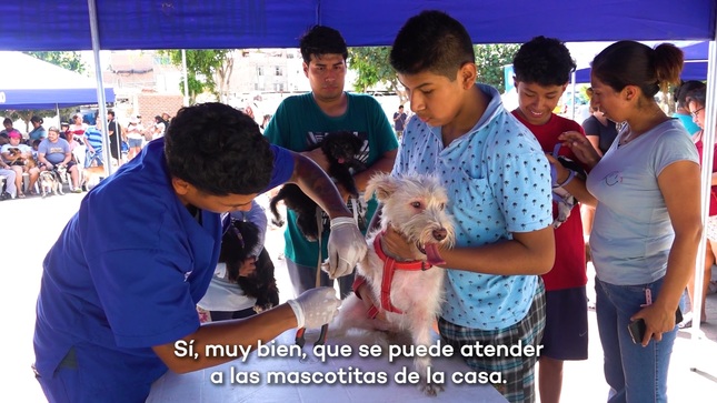 Queremos lo mejor para los engreídos del hogar. 