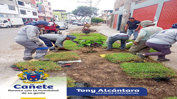 ARCHIVO IMAGEN 1