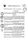 Vista preliminar de documento rer_100