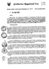 Vista preliminar de documento rer_177