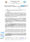 Vista preliminar de documento RESOLUCION_EJECUTIVA_REGIONAL-000011-2019-GR