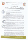 Vista preliminar de documento R.A. 110-2020.pdf