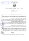 Vista preliminar de documento Resolución Directoral. Nº 0849 
