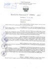 Vista preliminar de documento Resolución Directoral. Nº 0851