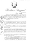Vista preliminar de documento RD-003-2018-CENFOTUR-DN