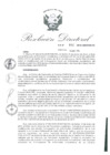 Vista preliminar de documento RD-004-2018-CENFOTUR-DN