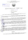 Vista preliminar de documento Resolución Directoral. Nº 0867