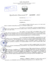 Vista preliminar de documento Resolución Directoral. Nº 0869