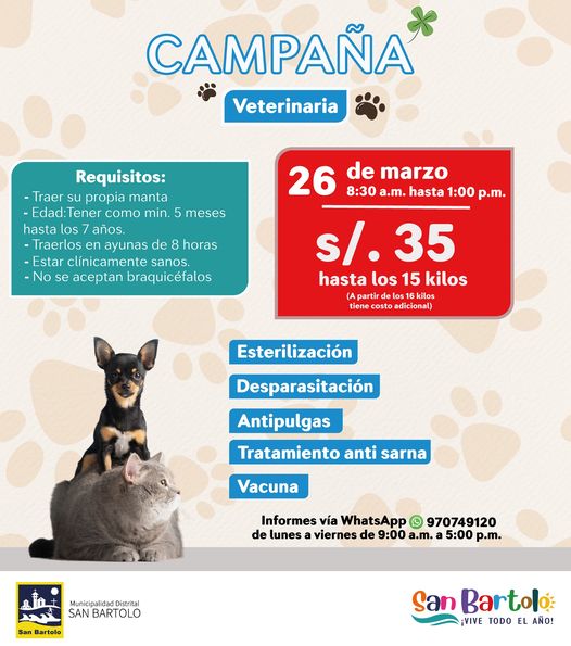 SIGUIENTES SERVICIOS: Desparasitaci贸n, Vacunas antipulgas, Tratamiento anti sarna
