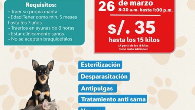 SIGUIENTES SERVICIOS: Desparasitación, Vacunas antipulgas, Tratamiento anti  sarna 
