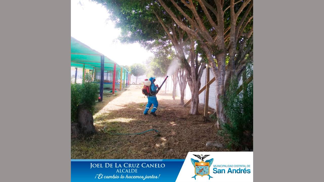 Se Realizó La Fumigación, Limpieza Y Desinfección En Las I.E De San Andrés