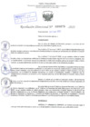 Vista preliminar de documento Resolución Directoral. Nº 0875 