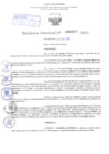 Vista preliminar de documento Resolución Directoral. Nº 0877 