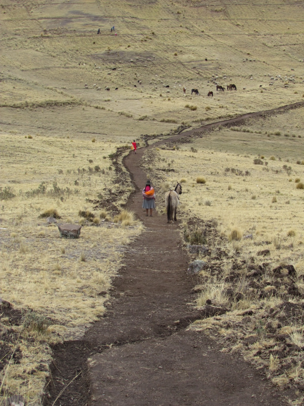 Cusco: Ministerio de de Cultura e Ingemmet impulsan acciones para la conservación del Qhapaq Ñan