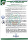 Vista preliminar de documento RGM-111-2023-GM-MPLC