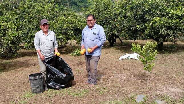 visita de campo