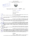Vista preliminar de documento Resolución Directoral. Nº 0891