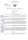 Vista preliminar de documento RD. Nº 0902 