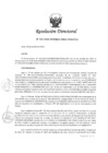 Vista preliminar de documento 131