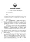 Vista preliminar de documento 133